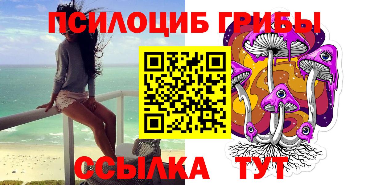 Дальнереченск  Псилоцибиновые грибы ЛСД  Вход с VPN 
